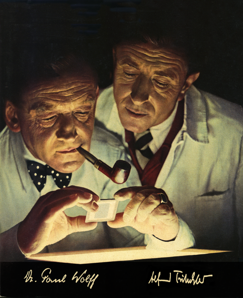 Datei:Wolff&Tritschler Buch-farbe.tif